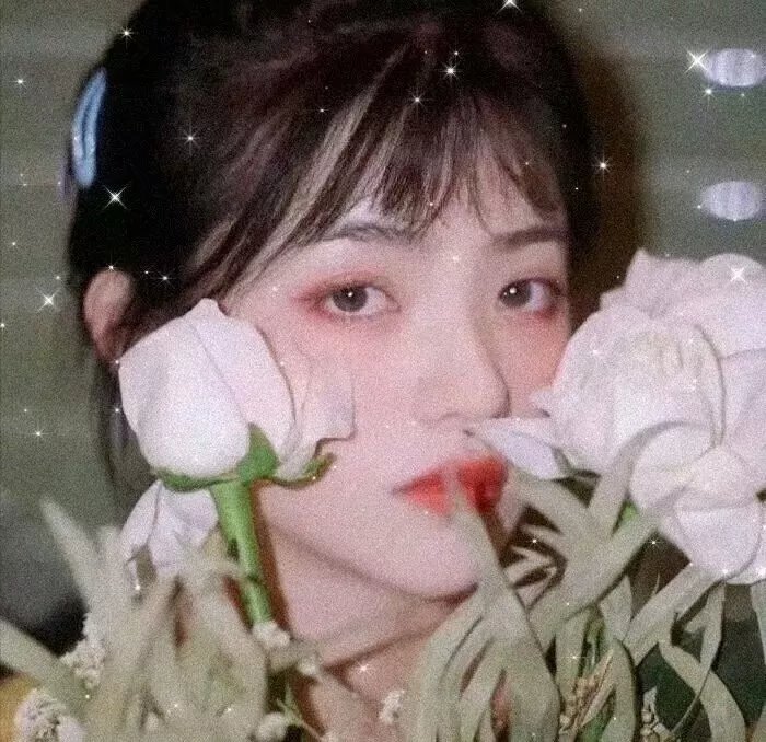 恋爱恐慌症 在线观看